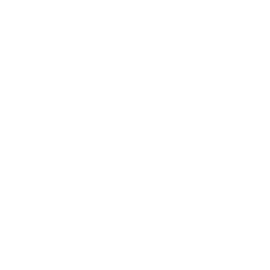 Logo-Terrin-e-Associati